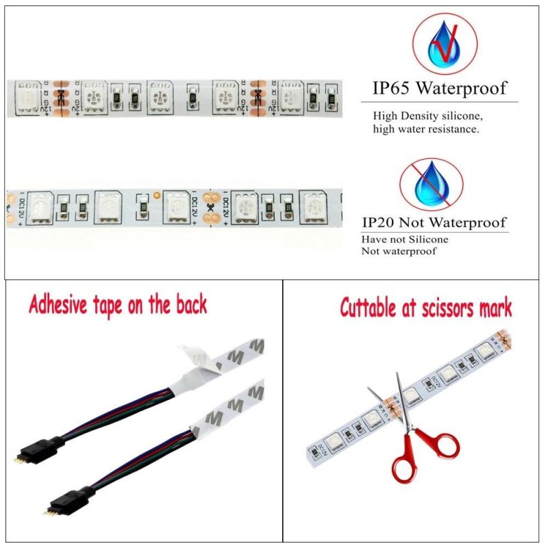 SMD 5050 RGB LED Strip 12V 30LEDs/M Waterproof Flexible Tape Ribbon String+RGB LED Controller+12V Power Adapter