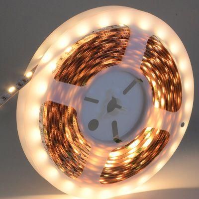 24VDC Full color RGB/WW/W IP20/IP68 SMD5050 LED strip