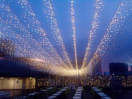 Waterproof LED Christmas Hotel Street Decoration Icicle Light