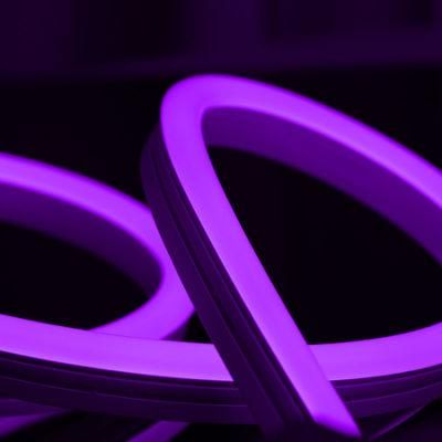 3 Years Warranty DC24V CRI&gt;90 LED Neon Light 336LEDs/M Flexible LED Strip