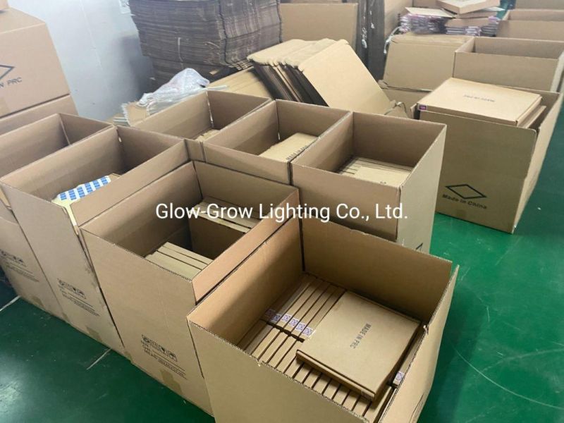12V CE RoHS Warm White Silicon Neon Flex The Denny Letters Advertising LED Neon Light Sign for Commercial Decoration