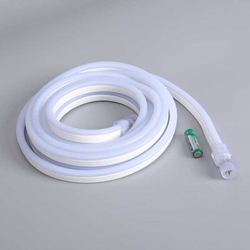 Christmas Decoration 110V/230V LED Flexible Colorful Light