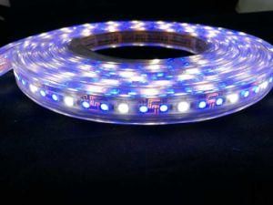 110V Waterproof SMD5050 84LEDs RGBW LED Strip Light