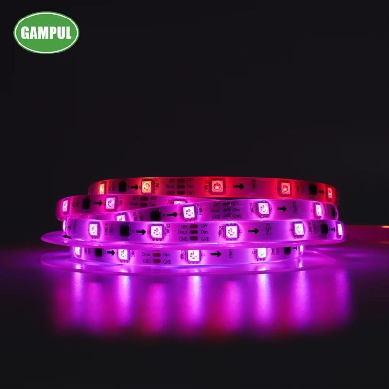 Christmas Lighting 220V Waterproof SMD5050 RGB LED Strip Light