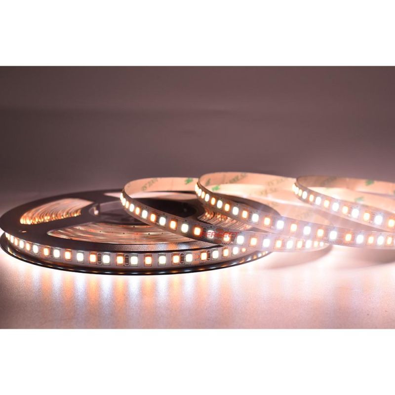 Warm White Cool White LED Light Strips 5m SMD 2835 CCT Dual White 168LEDs/M 12V 24V LED Strip Light