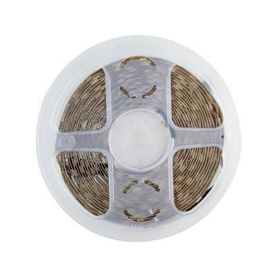 Unique Cx-Lumen RoHS Professional Design LED Rope Light for Room with Factory Price