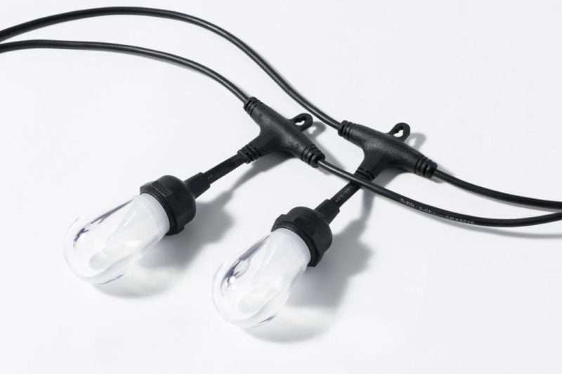 Highly Illuminated Smart LED Decoration Light for Home Use
