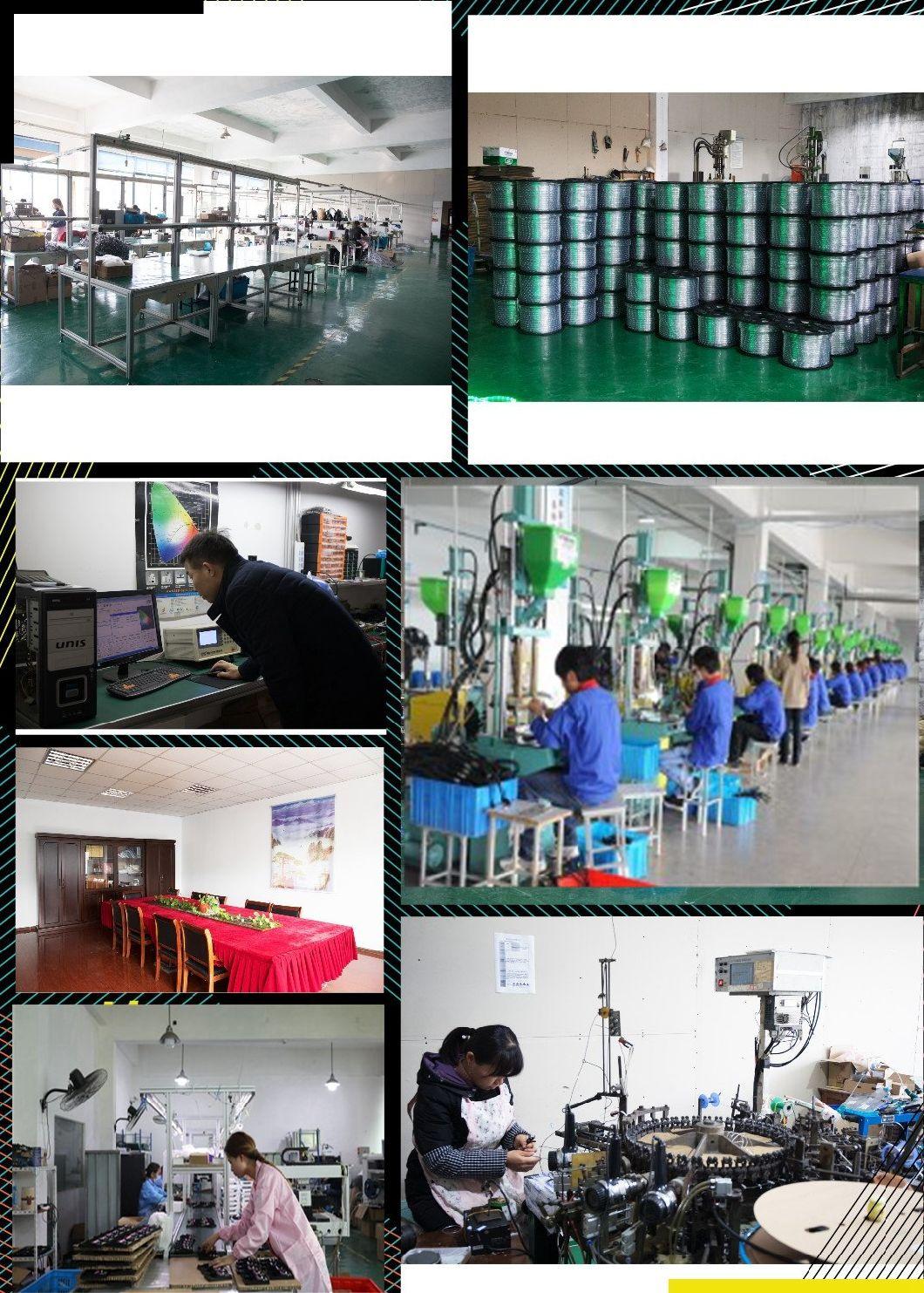 IP65 Waterproof E26 Festoon Belt Light for Outdoor Decoration