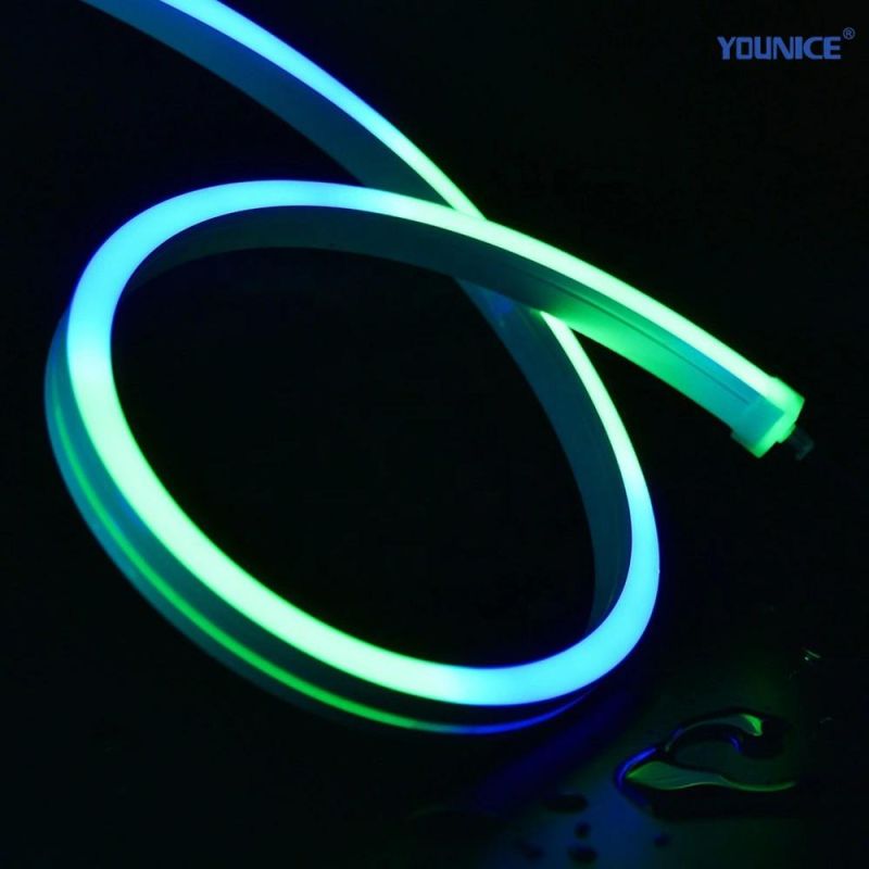 UV Resistance Dream Color Spi 5050 RGB LED Neon Strip with Stable Signal for Landscape Lighting