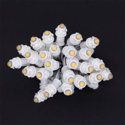 Red White Yellow Green Blue LED Pixel Light