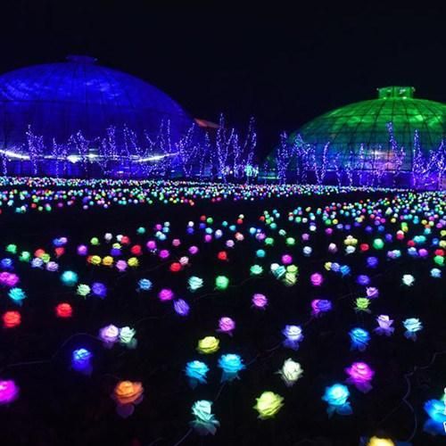 Outdoor Decoration Light Projected Park Light LED Ball Light