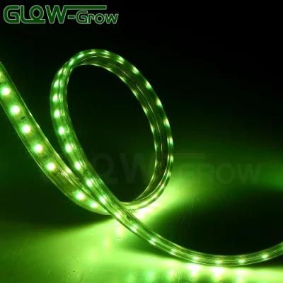 High Voltage 60LEDs/M 5050 RGB LED Strip Light for Hotel House Street Bridge Holiday Decoration