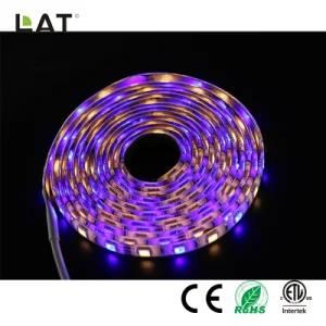 DC12V 5m IP20 High Brightness SMD5050 Rgbww 30/60/120LEDs Flexible LED Strip Light