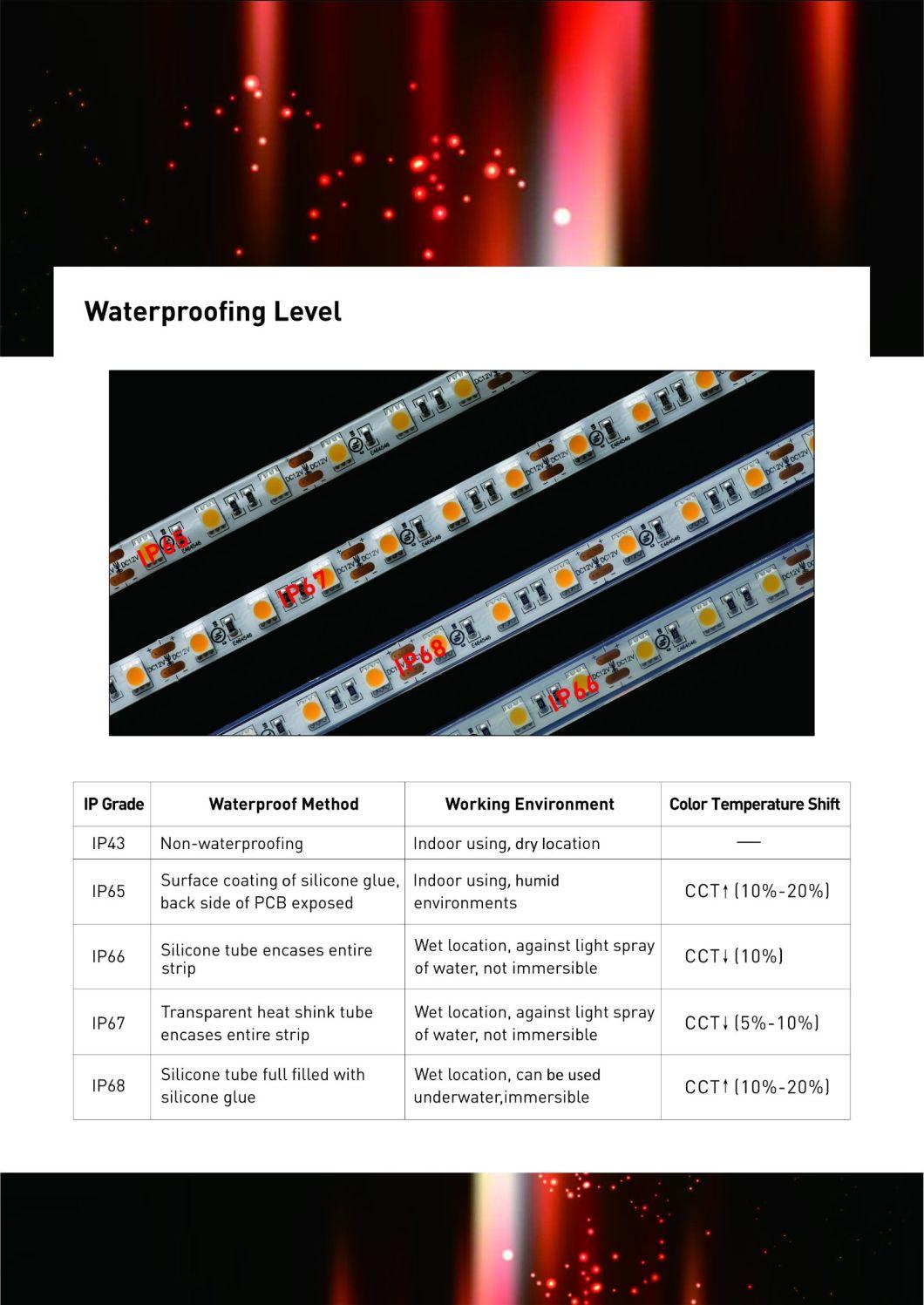 Flexible LED Strip Light for Decoration