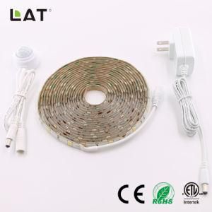 DC24V 5m IP65 Smart SMD5050 Ww/Cw 30/60/120LEDs Flexible LED Strip Light with Sensor Can Adjust 30s to 10min