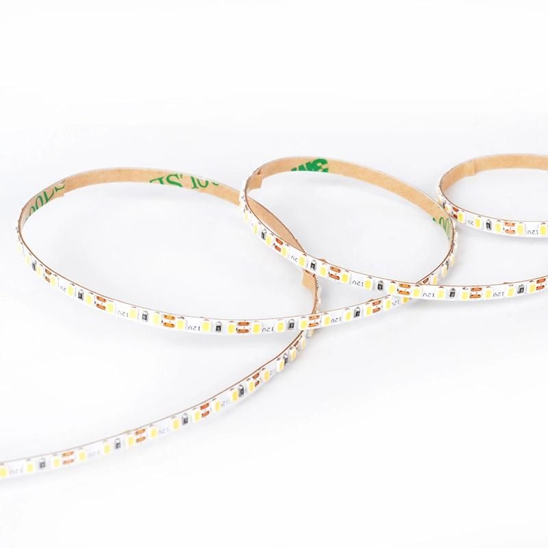 2216 super narrow 3MM 240Leds/m 12v led strip light