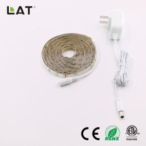 DC12V 5m IP20 High Brightness SMD2835 Ww/Cw 30/60/120LEDs Flexible LED Strip Light