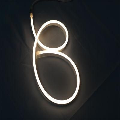 China Wholesale Manufacturer SMD5050 LED Neon Christmas Decoration Light