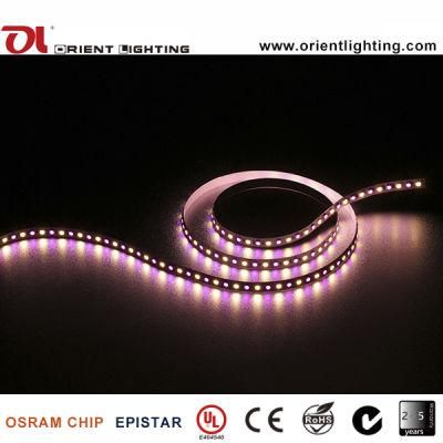 UL Ce High CRI Epistar RGBW 5050SMD 24V Max. 23W/M LED Strip Light