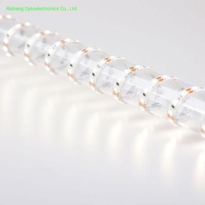 Anti-UV Proof 120LEDs DC12V Flexible LED Strip CE RoHS IP65 Waterproof Silicone Spraying Flexible LED Strip