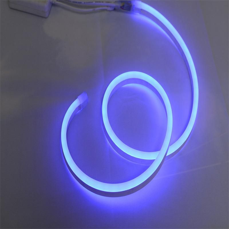China Wholesale Manufacturer SMD5050 LED Neon Christmas Decoration Light