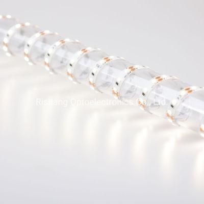 Desirablely Unique Silicone Spraying SMD2835 120LEDs Per Meter Durable Strip Light