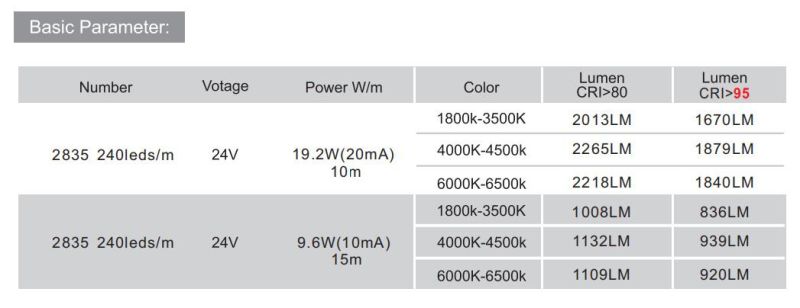 Super Long Length Constant Current IC-Built-in SMD2835 Flexible LED Light Strip