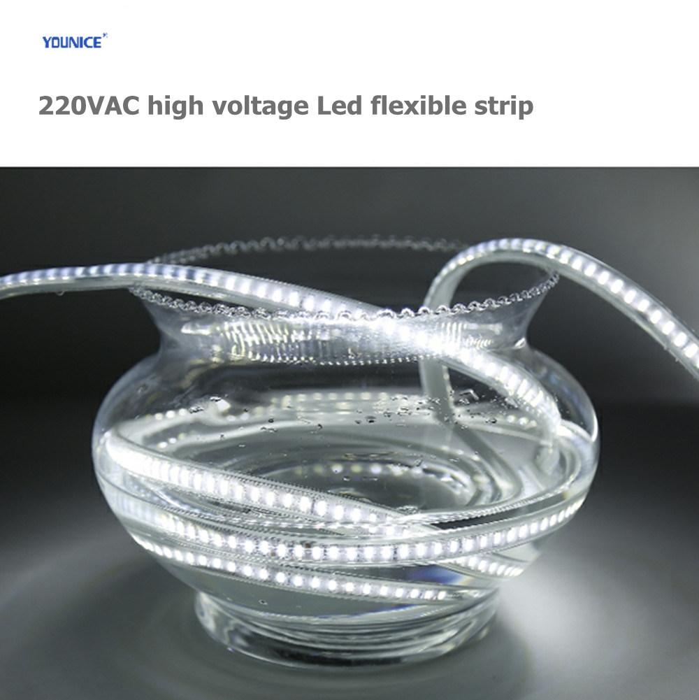 1500lm 12W 220V High Voltage IP67 Waterproof LED Flexible Strip for Project