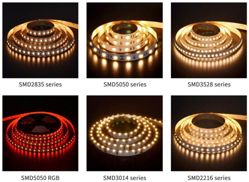 Flexible Rope Light SMD2835 128LEDs 6000K DC24V IP20 Used for House Decoration