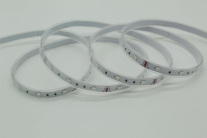 High Brightness Festival Decoration DC 12V/24V LED Flexible Strip RGB LED Strip Lighting