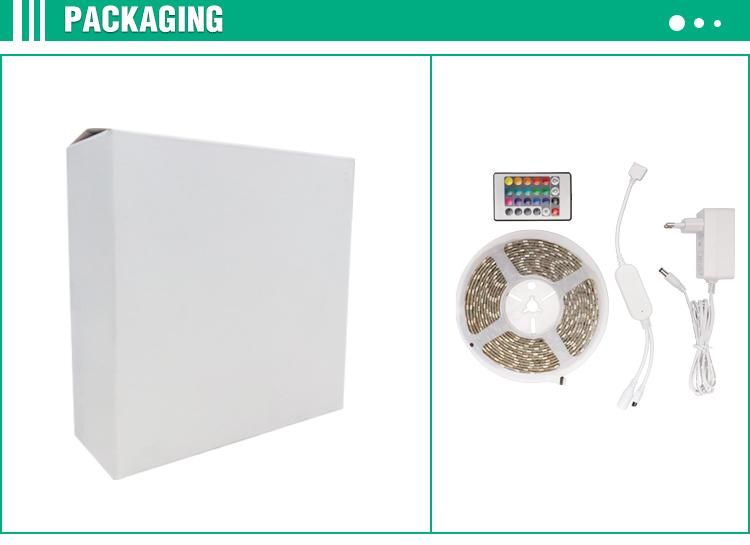 TV Background Lighting Smart APP Control Flexible LED Strip Lights