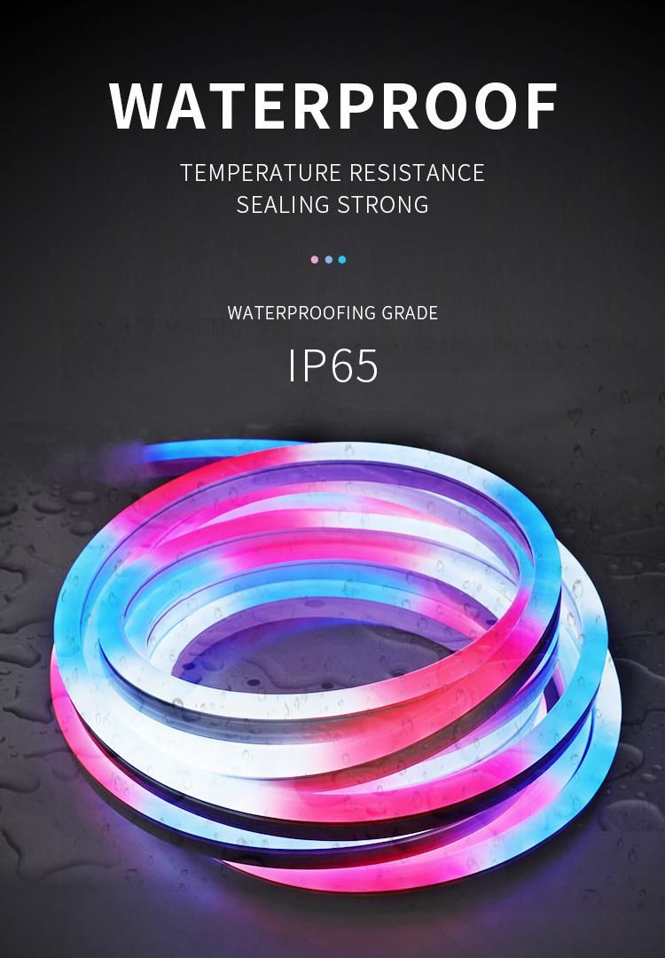 LED Strip Light 24V RGB Rainbow Flexible Neon Lightin 5m Waterproof for Bedroom Wedding Party