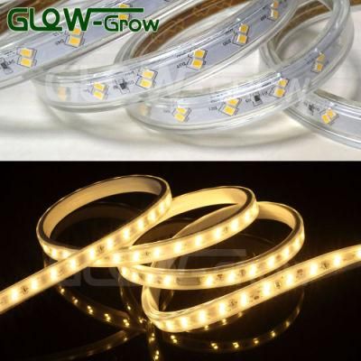 Outdoor Use IP65 60*2LEDs/M Two Lines 2835 LED Strip Light Strip LED 240V