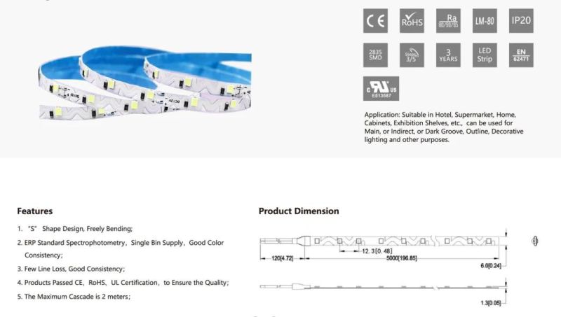 TUV-CE, UL Approved IP20 LED Strip Lights for Decorative Lighting