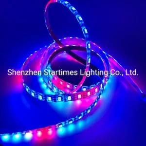 5 Years Warranty Manufacture Pixel Digital Ws2813 Addressable Flexible Strip RGB LED Lighting Christmas Decorations Wedding Decoration Light