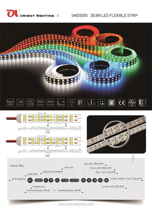 UL Ce Epistar 5050 Dual Line Waterproof IP68 LED Strip Light
