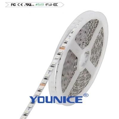 Super Dense RGB Strip 3838RGB LED CE RoHS FCC 24V