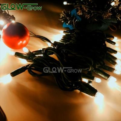 IP65 Warm White Weatherproof Christmas LED Light String with CE RoHS Cable for Cabaret, Fashion Show, Dance, Stage Decoration