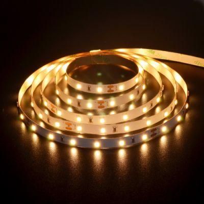 Cheap Price High Efficiency SMD2835 64LED Strip Light for Indoor