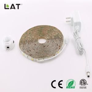 DC12V 1m IP65 Smart SMD5050 Ww/Cw 30/60/120LEDs Flexible LED Strip Light with Sensor Can Adjust 30s to 10min