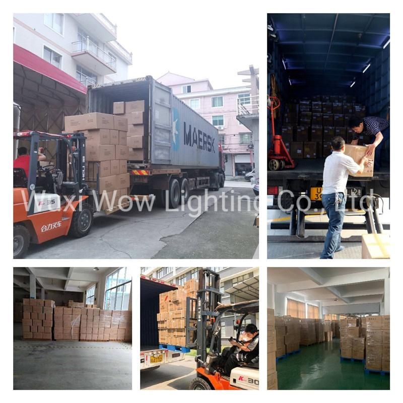 LED String Light 100FT Anting Festoon Mains Lights G40 Waterproof IP45 Indoor/Outdoor Garden Lights