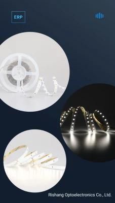 One-Bin Supply RoHS CE UL CRI80 IP20 12V Flexible LED Light Strip for Shopping Mall Decorative Lighting ERP