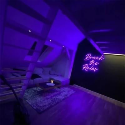 Break The Ruler LED Neon Light Custom Neon Light Sign Clear Acrylic Panel OEM Factory Neon Supplier