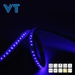 SMD5630 Strip Light IP65 for Ce, RoHS