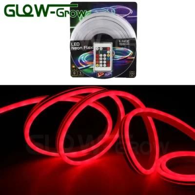 House Use IP65 24V RGB LED Neon Flex Light for Christmas Decoration