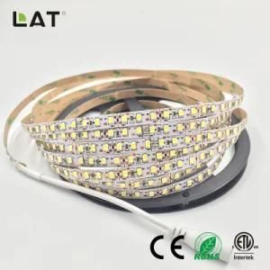 High Brightness DC12V DC24V IP65 SMD2835 Ww Cw 5m 120LEDs Flexible LED Strip Tape Ce ETL UL