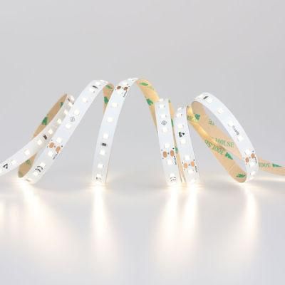 High Efficacy 10mm SMD LED Strip DC24V Flexible LED Strip with ERP Standards
