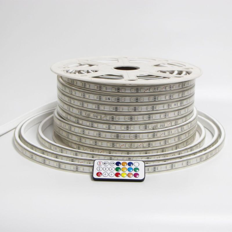 220V 110V RGB LED Strip Lights 5050 50m 100m Multicolor Flexible Roll IP65 Outdoor Waterproof RGB Dual Color Rope LED Light Strip