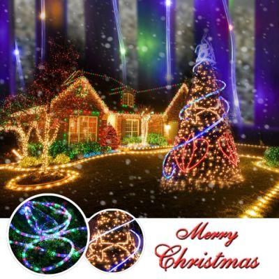 2-Wire LED Heavy Duty Bright Warm White Expandable Rope Light