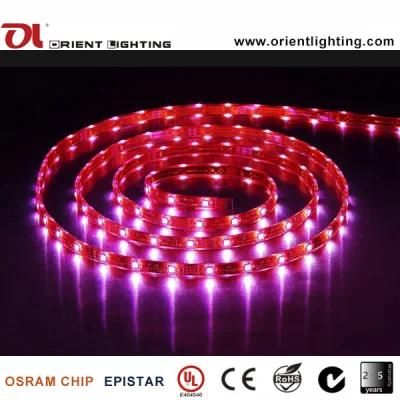 UL Ce RGB 30LEDs LED Flexible Strip Lighting
